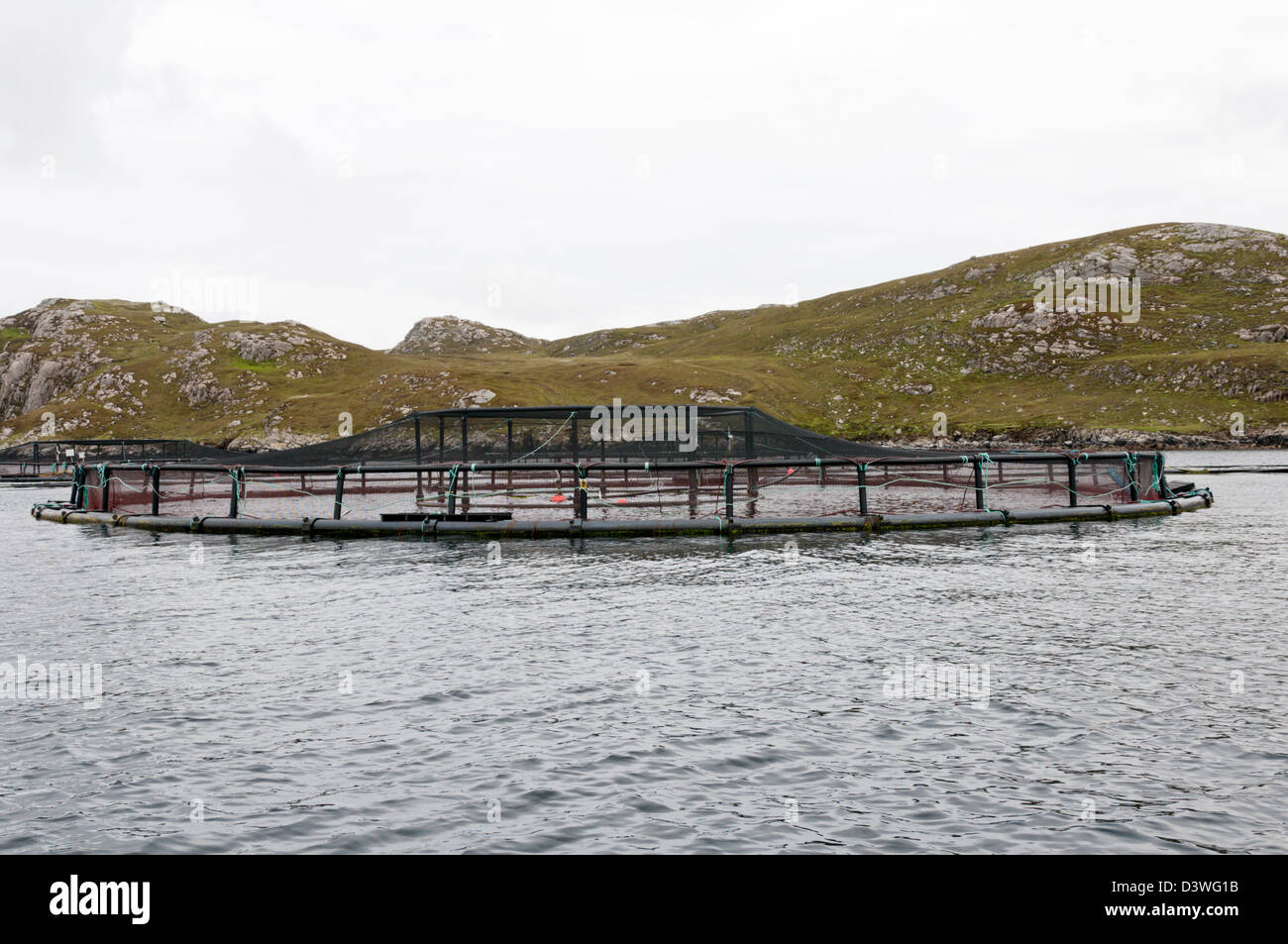 Netted fish farming cage in Loch Roag, Isle of Lewis in the Outer Hebrides. Stock Photo