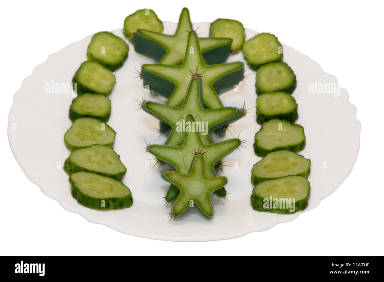 star of cactus on plate isolated on white background Stock Photo