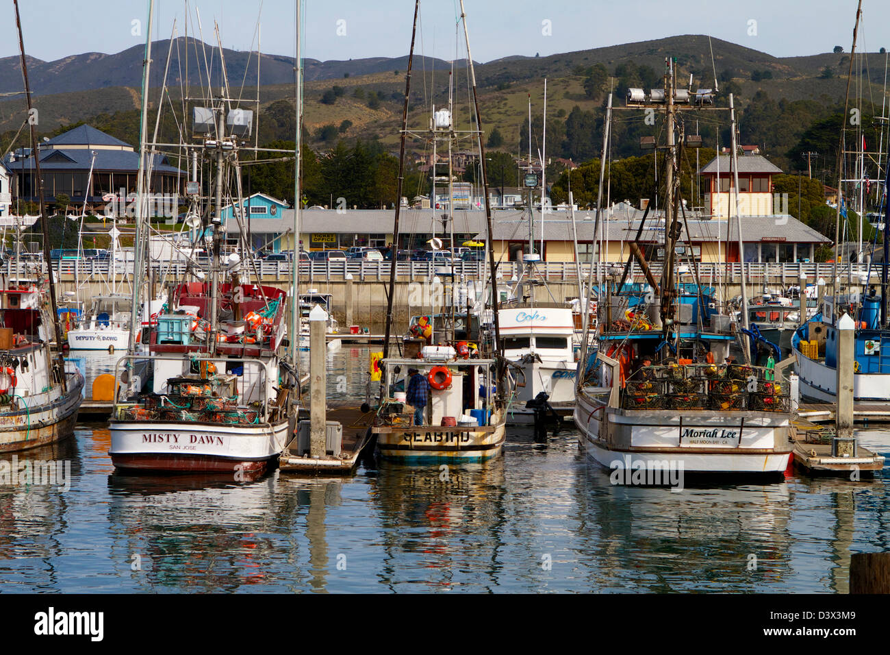 The fishing fleet in harbor at pillar point, Half moon Bay on the