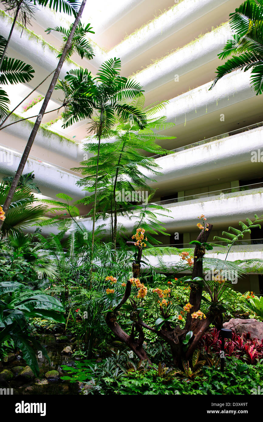 ShangriLa Hotel Lobby,Garden Wing,5 star Hotel,Beautiful Orchids,Trees