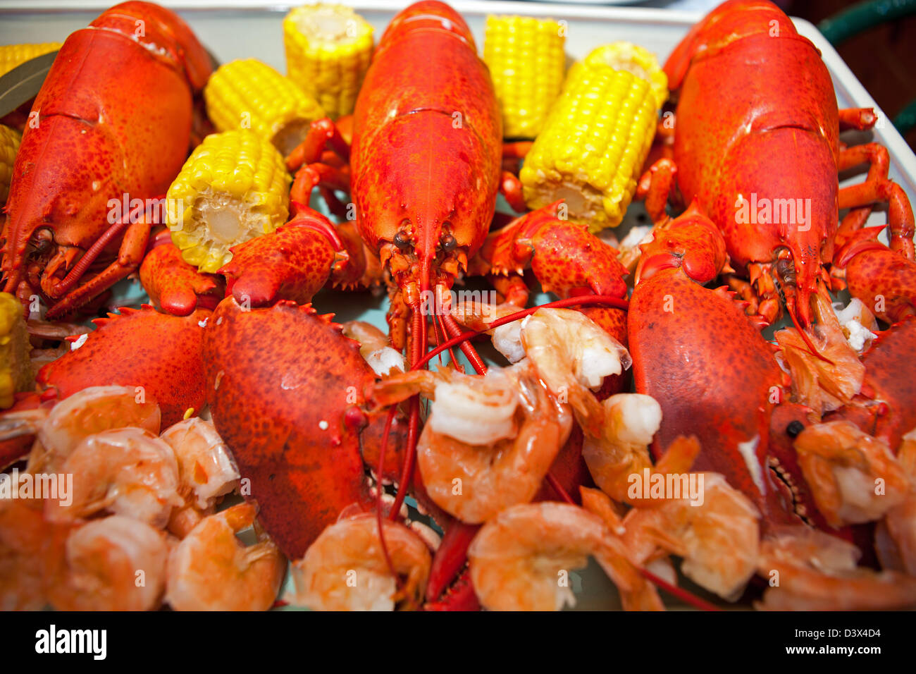 Boiled lobsters with shrimp and corn. Stock Photo