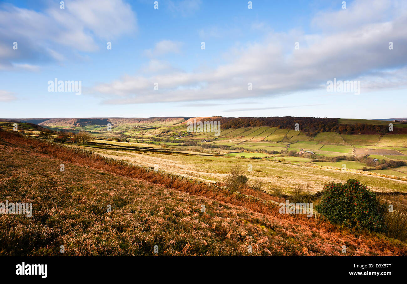 north-york-moors-looking-across-the-glaisdale-valley-on-a-bright-day