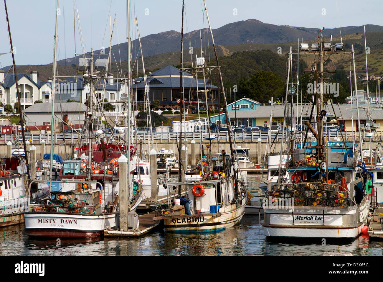 The fishing fleet in harbor at pillar point, Half moon Bay on the