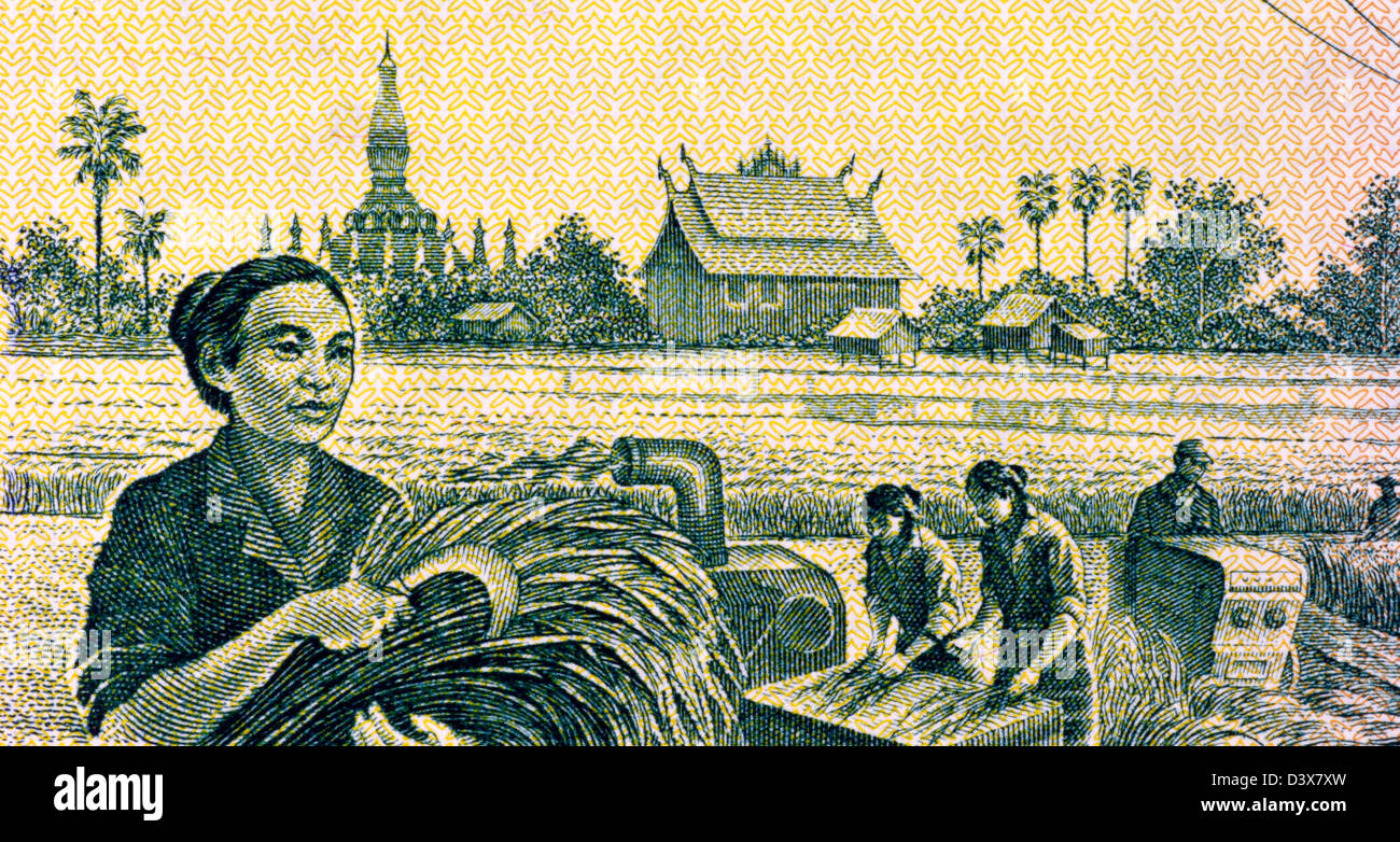 Grain Harvesting on 100 Kip 1979 Banknote from Laos. Stock Photo