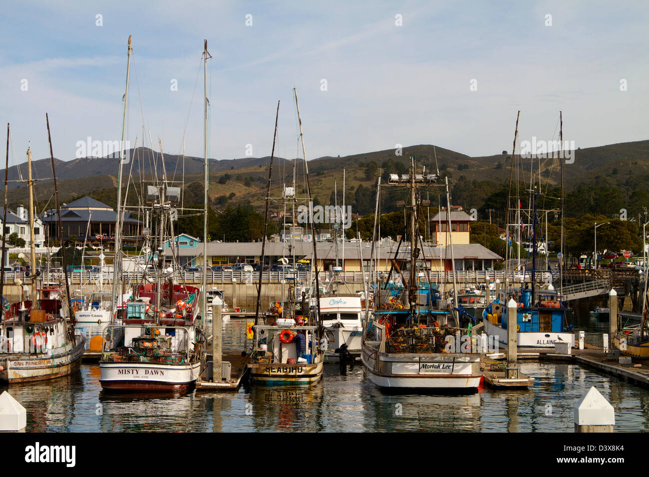 The fishing fleet in harbor at pillar point, Half moon Bay on the