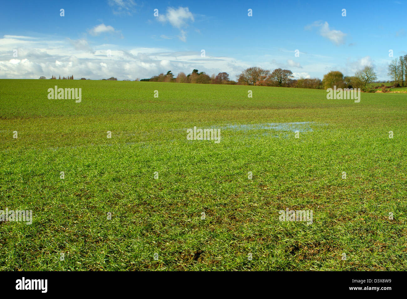 Rayne, Essex, UK. A view of the Beautiful Essex countryside near Braintree on a bright sunny day Stock Photo