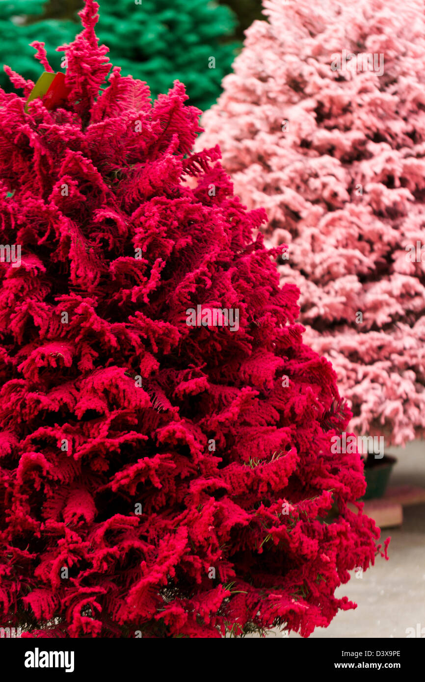 Flocked Christmas Tree with multi colors Stock Photo Alamy