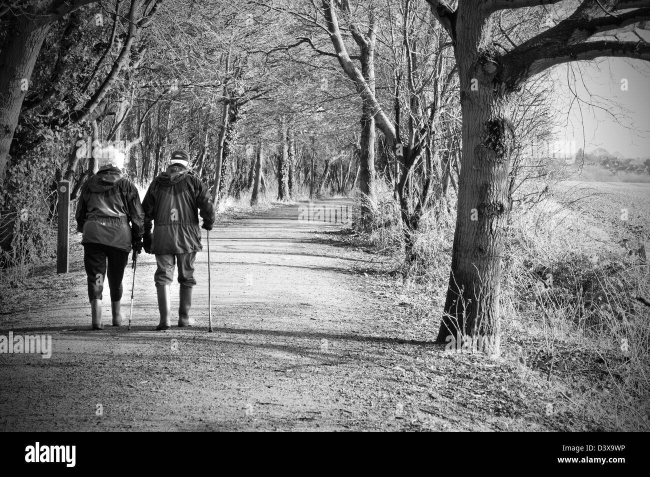 senior couple walking through the woods Stock Photo