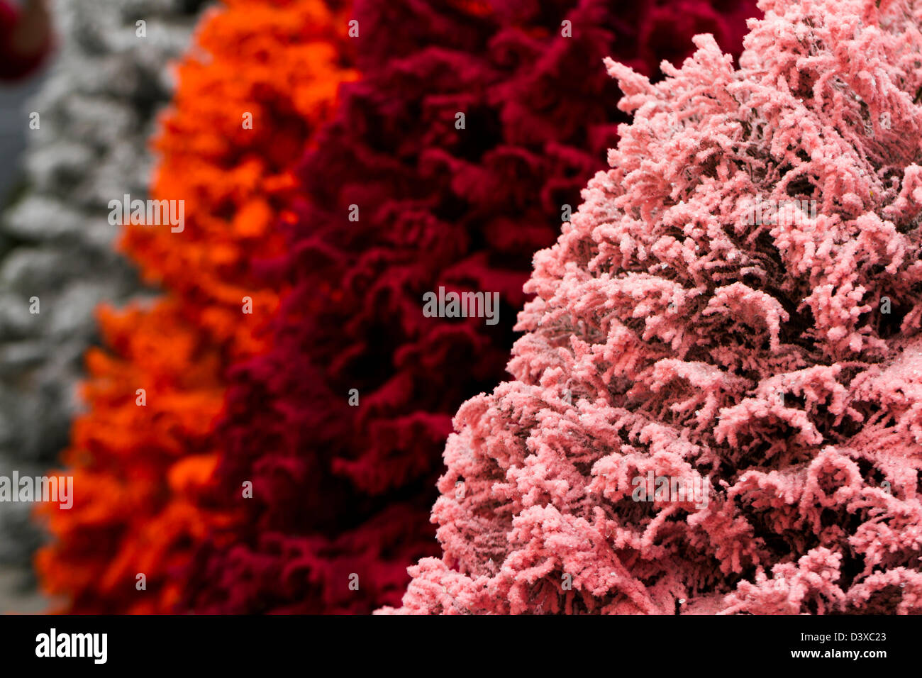 Flocked Christmas Tree with multi colors Stock Photo Alamy