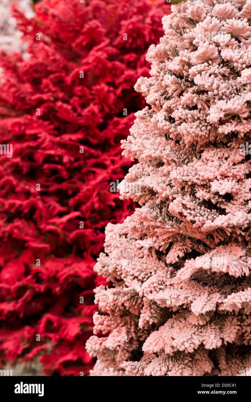 Flocked Christmas Tree with multi colors Stock Photo Alamy
