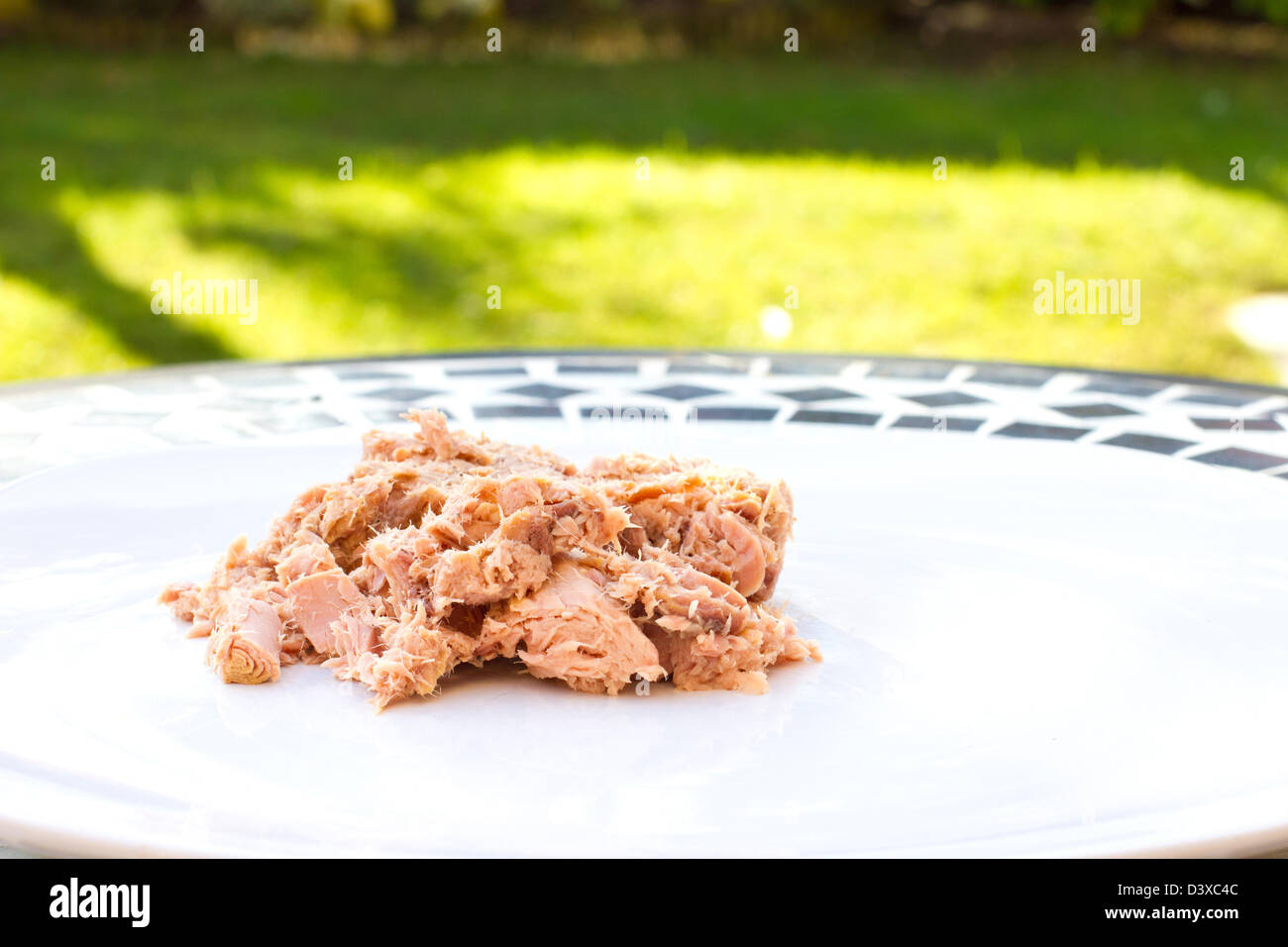 tuna flakes in oil on a white plate Stock Photo Alamy