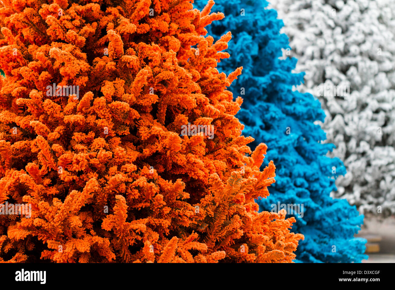 Flocked Christmas Tree with multi colors. Stock Photo