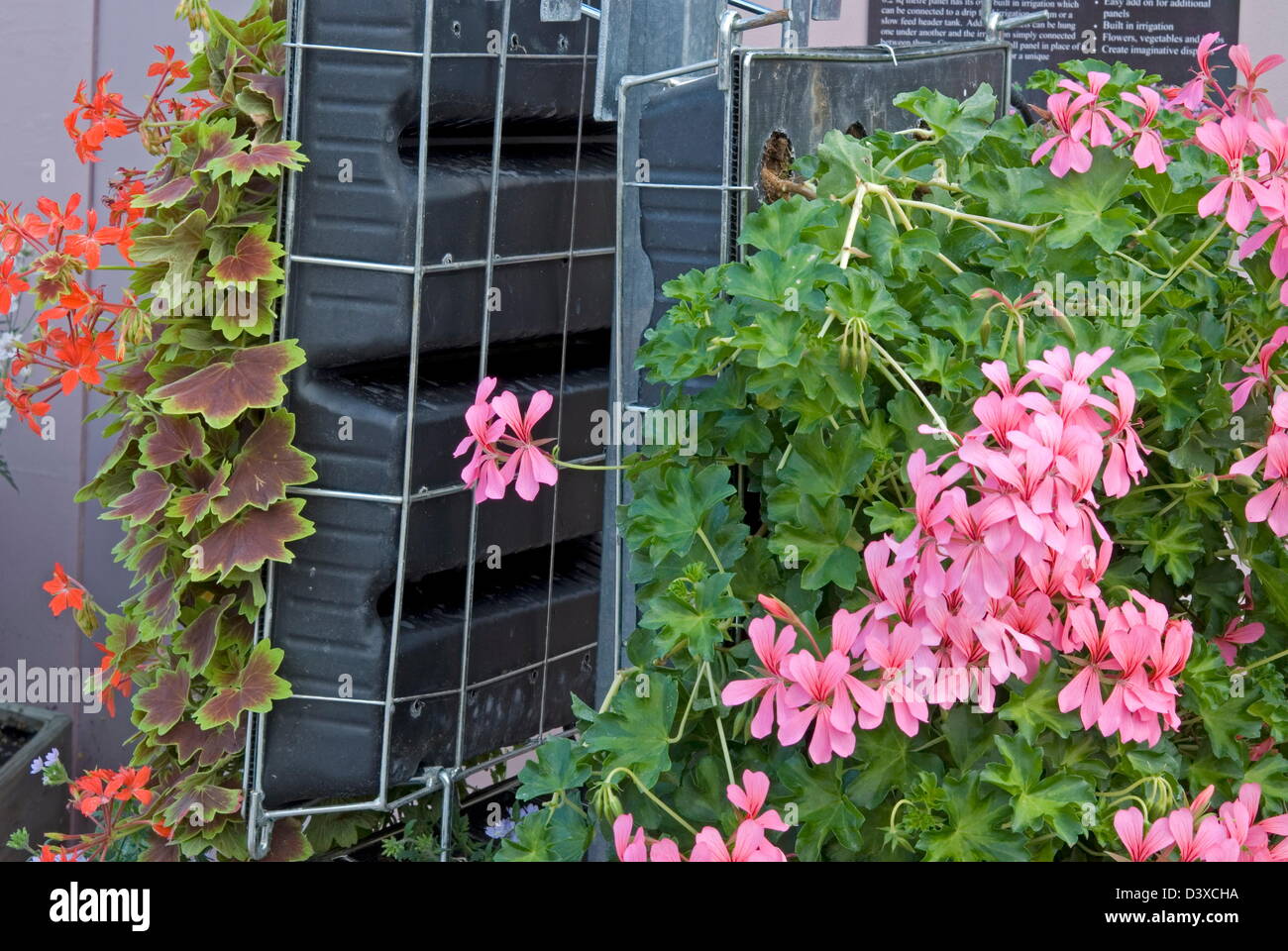 Wall Planters showing structure. New 2009 from BallColegraves, West