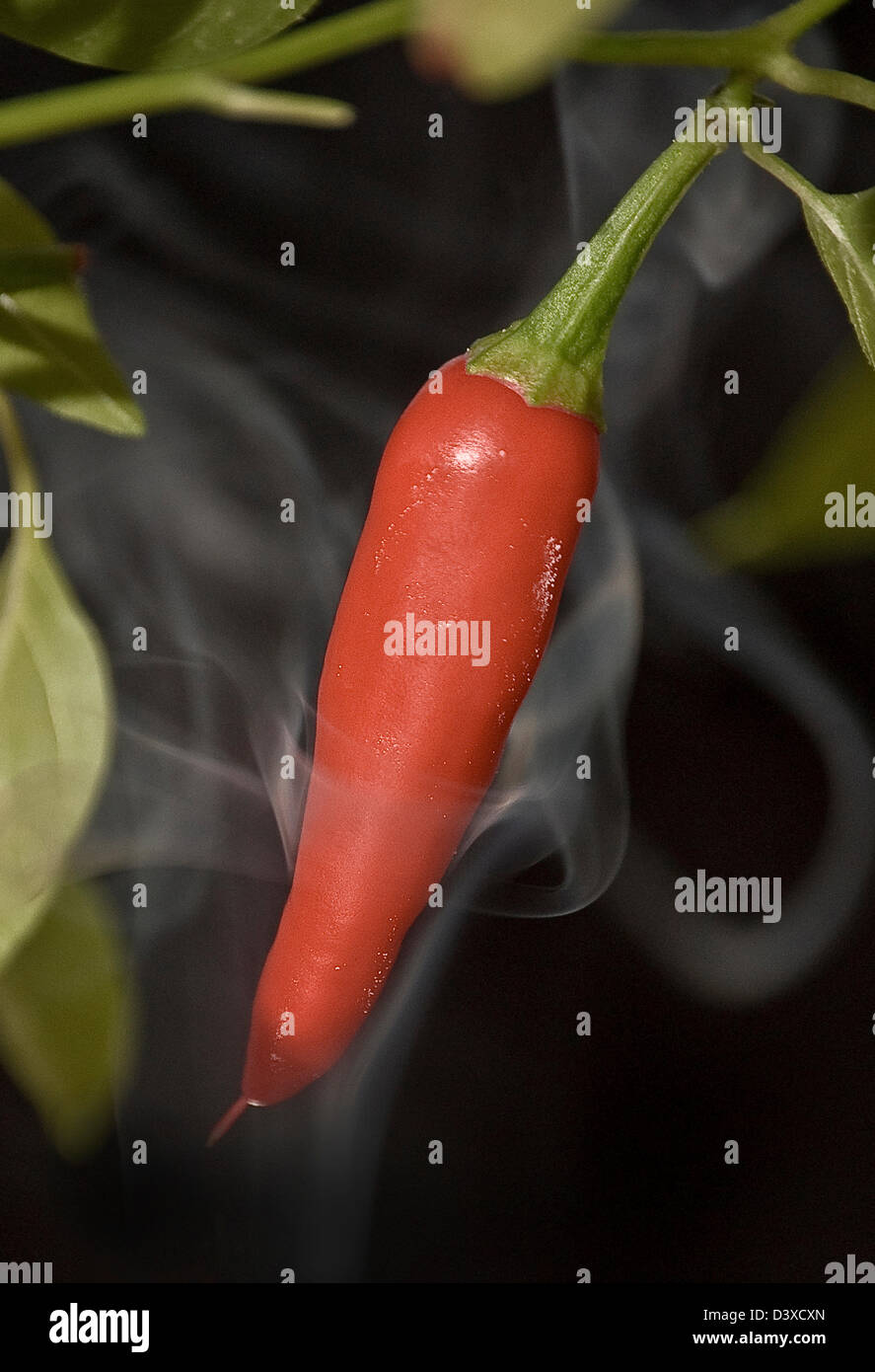 Red hot pepper in smoke hi-res stock photography and images - Alamy