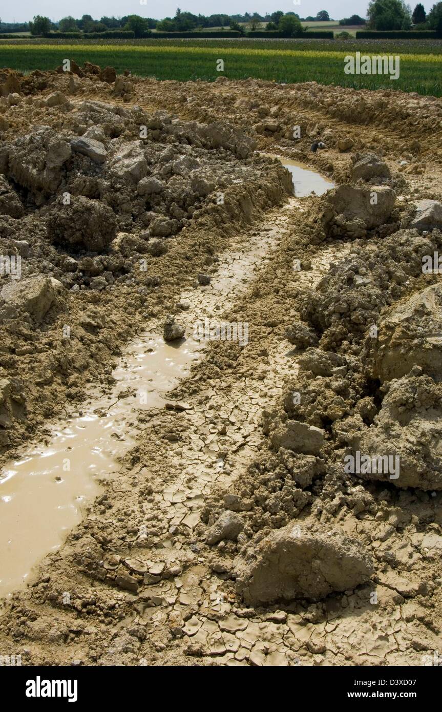 CLAY SOIL showing poor drainage Stock Photo Alamy