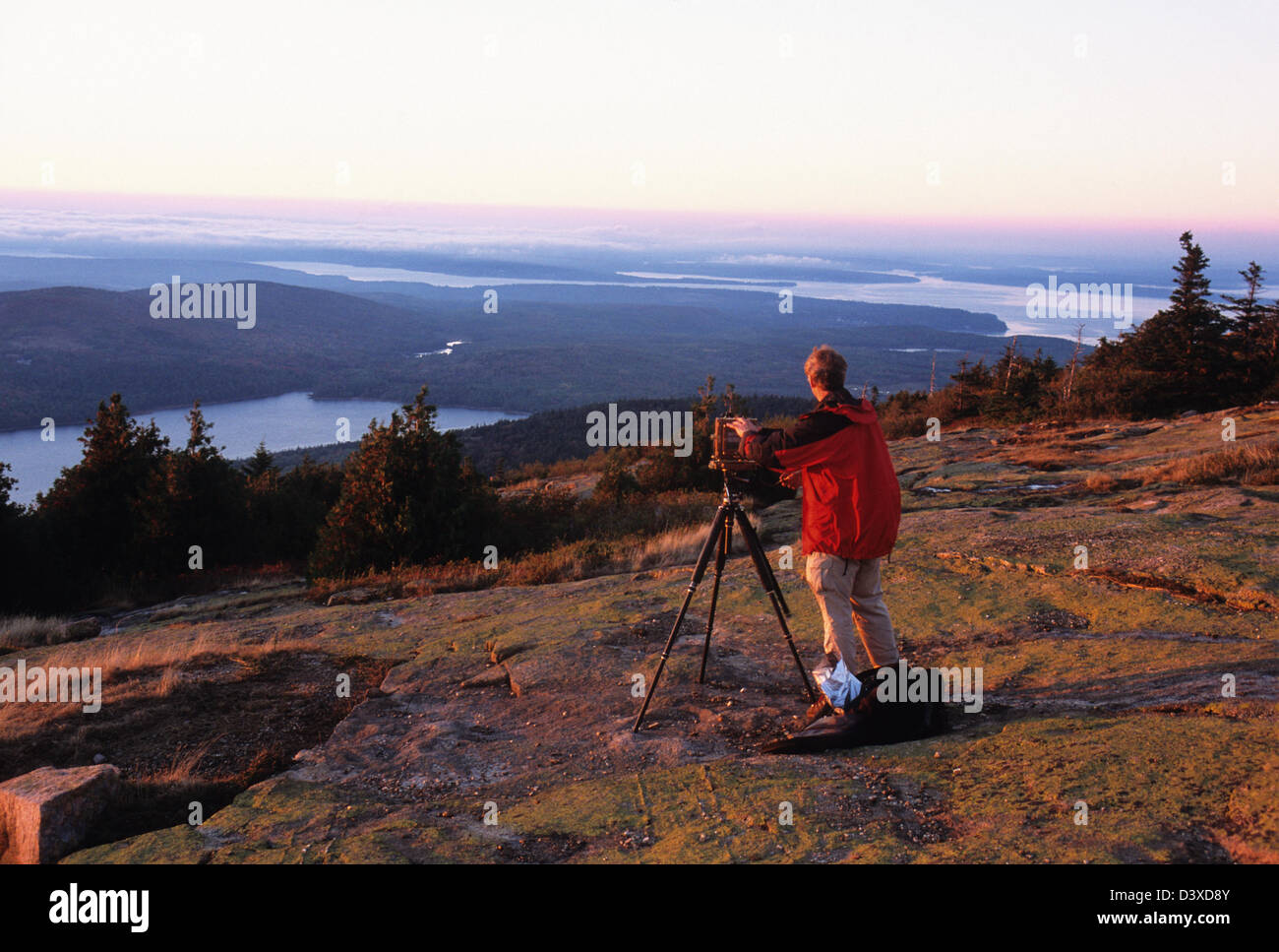 Elk2822434 Maine, Acadia National Park, Cadillac Mt, Eagle Lake