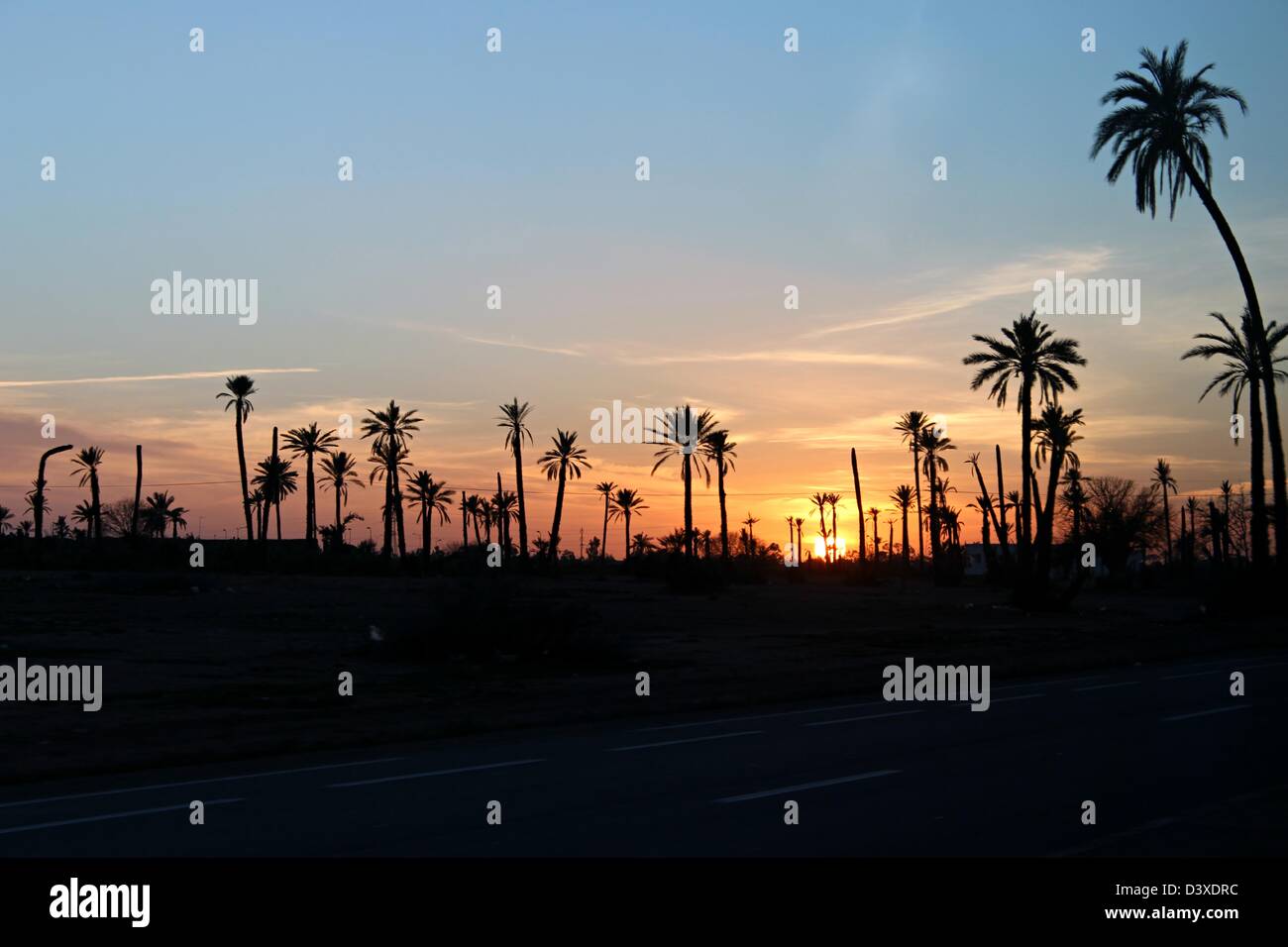 A wonderful sunset between the palm trees in the arrival of Marrakech! Stock Photo