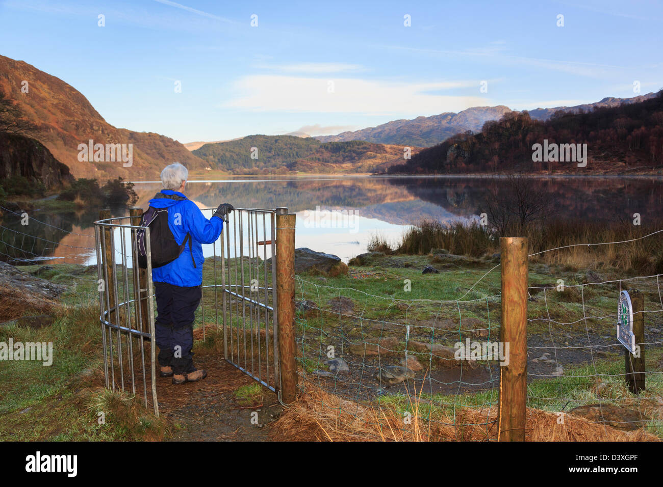 Senior walker wearing a waterproof jacket walking through kissing gate on a path by Llyn Dinas lake in Snowdonia Wales UK Britain Stock Photo