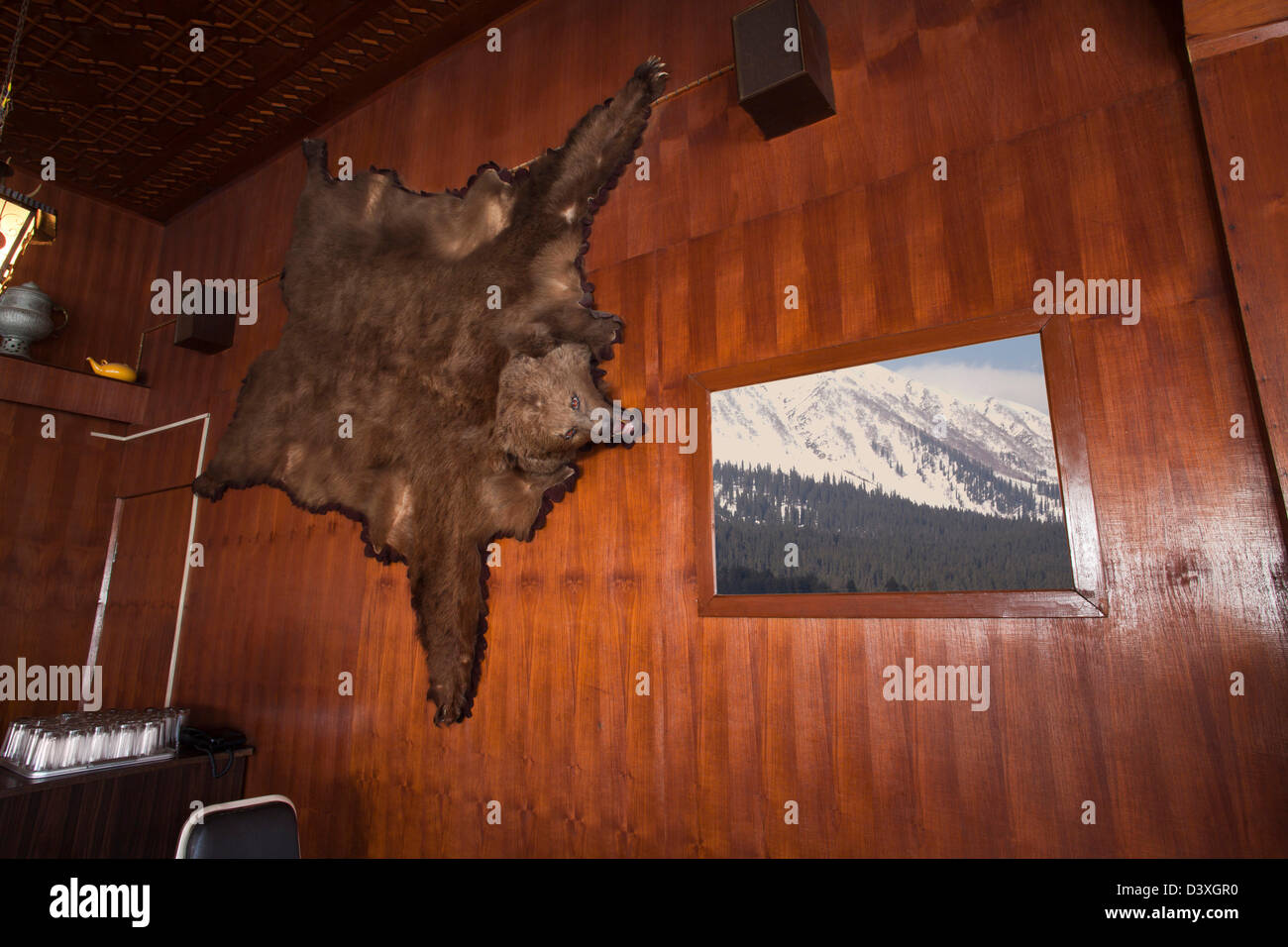 Bear skin rug hi-res stock photography and images - Alamy