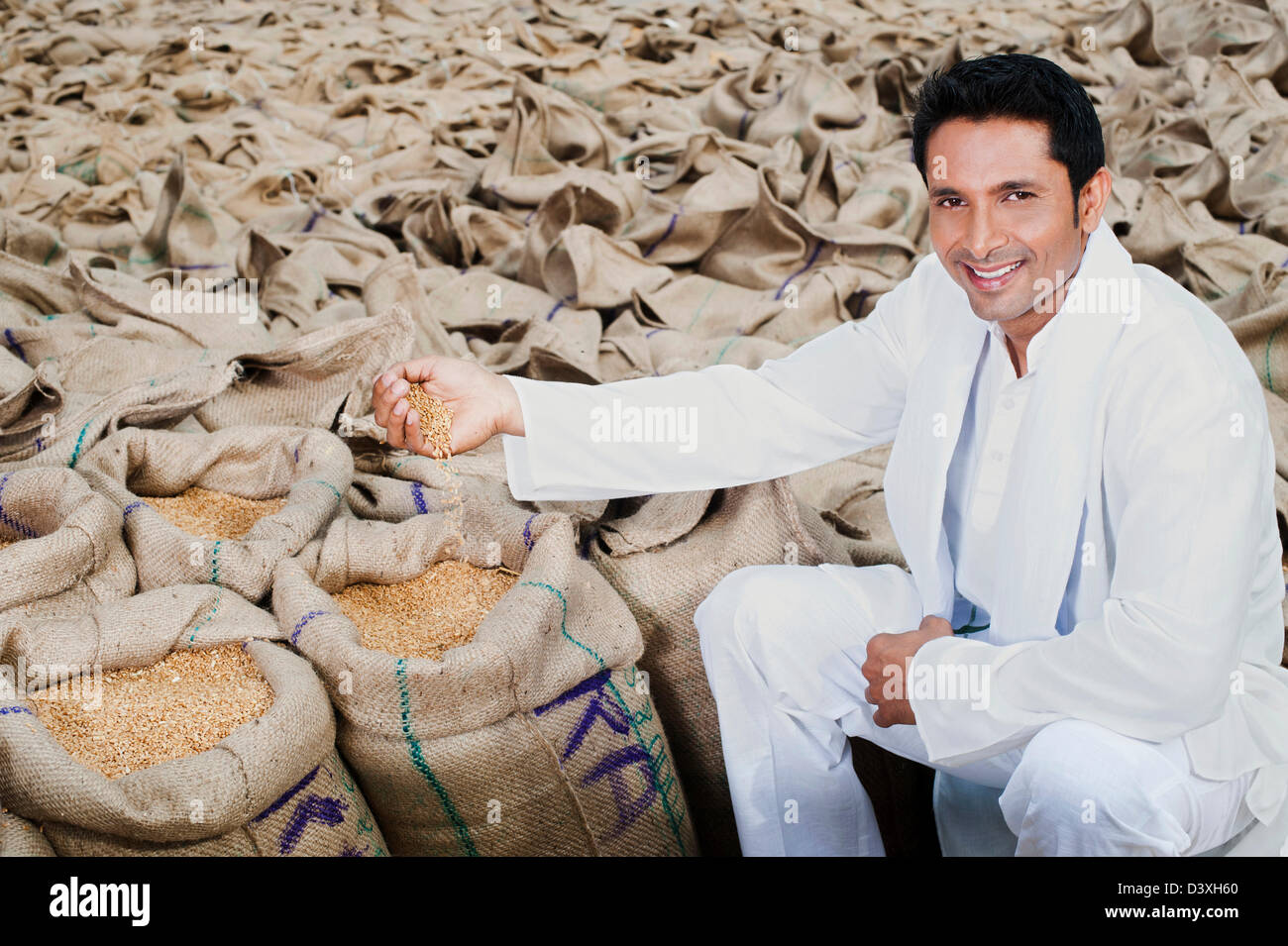 Man sitting near sacks of wheat and showing wheat grains, Anaj Mandi ...