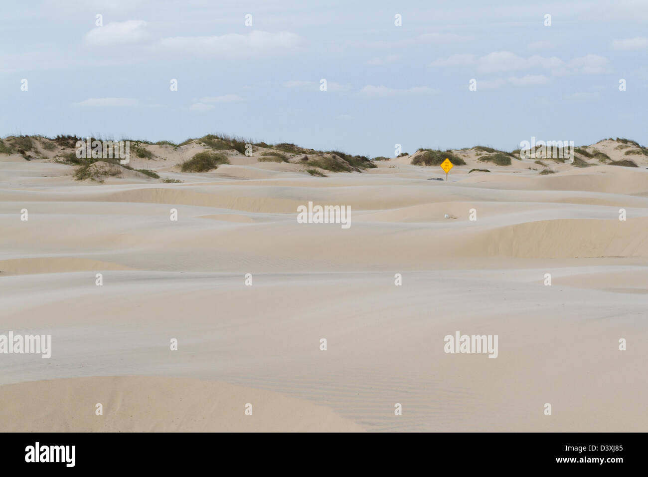 Coastal dunes of South Padre Island, TX Stock Photo Alamy