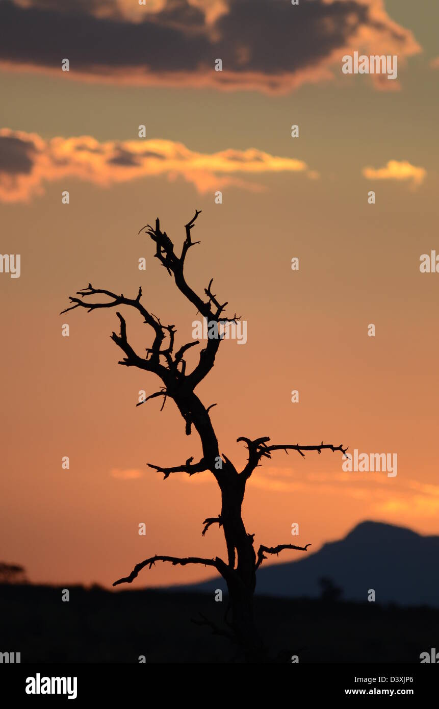 Africa photos hi-res stock photography and images - Alamy