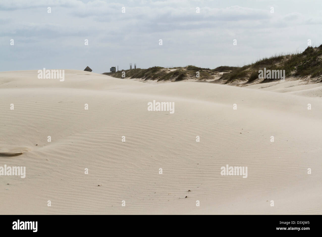 Coastal dunes of South Padre Island, TX Stock Photo Alamy