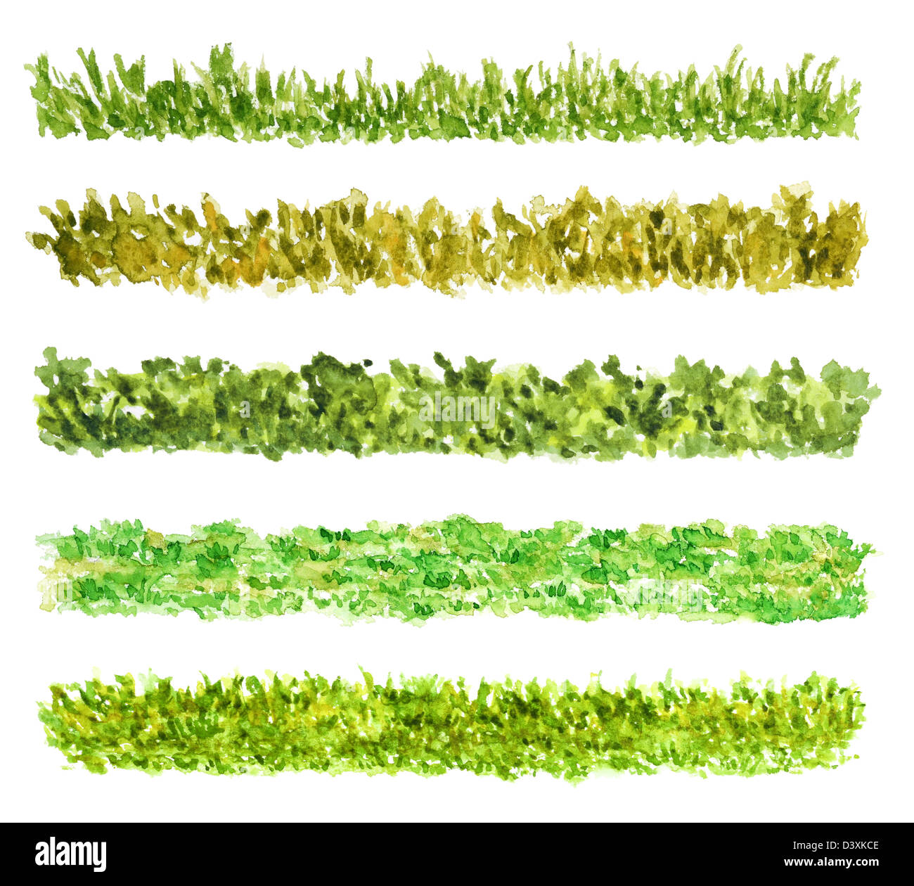 Watercolor grass hi-res stock photography and images - Alamy