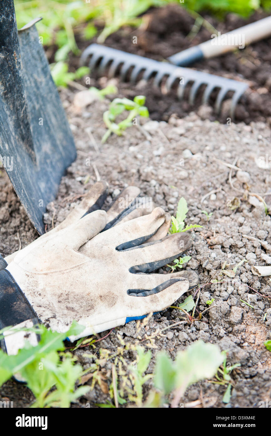 Garden gloves, spade and rake on the soil of a vegetable garden being prepared in springtime Stock Photo