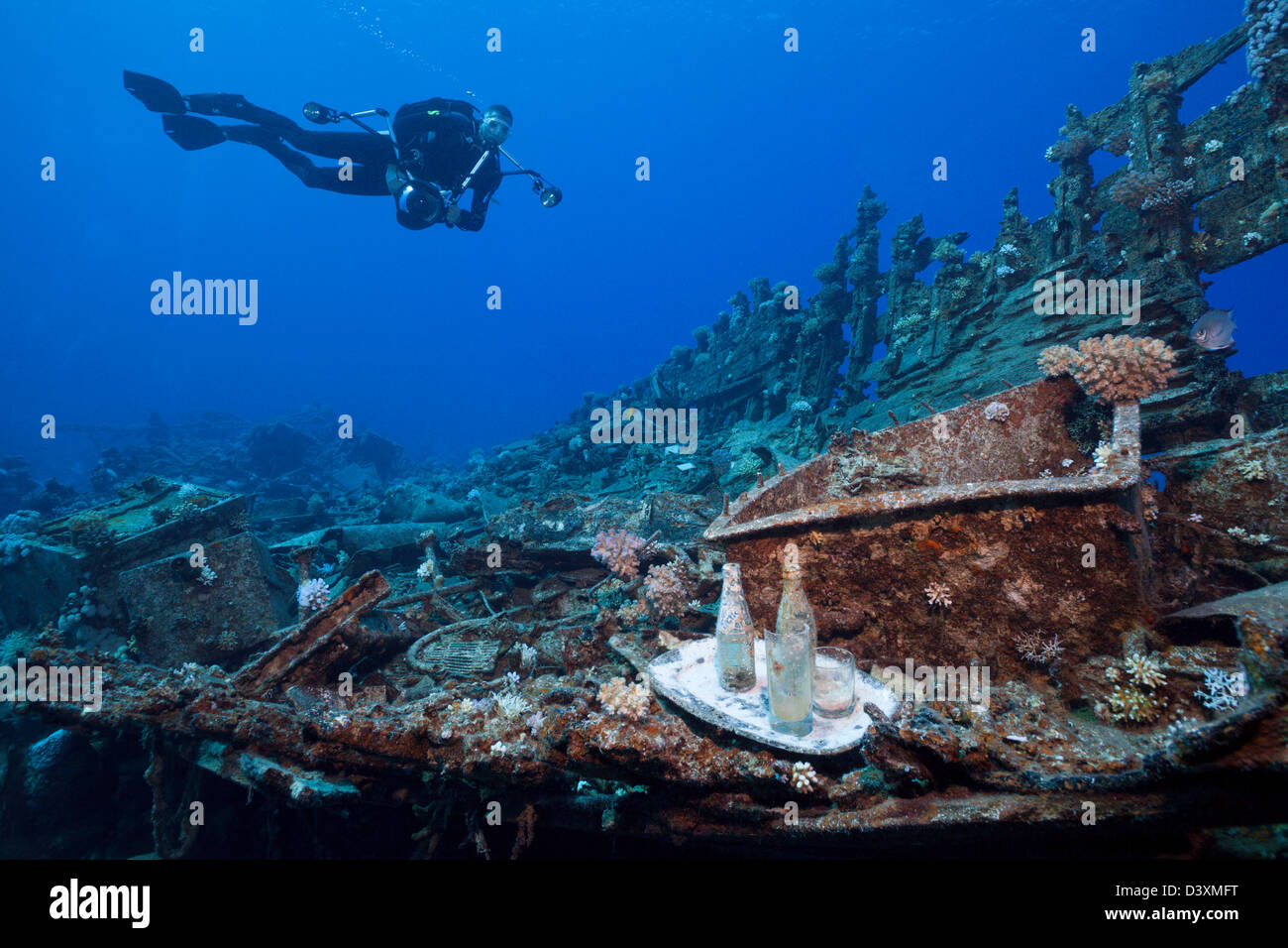 Diver over Heaven One Wreck, Abu Dabab Reef, Red Sea, Egypt Stock Photo