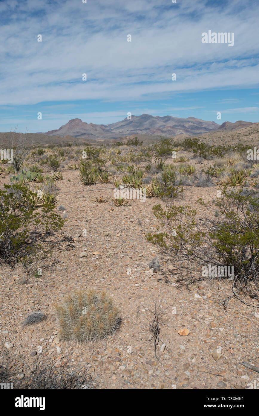 Desert, Big Bend, Big Bend National Park, Texas, USA, Mexico, Border, Highway, Road, Park