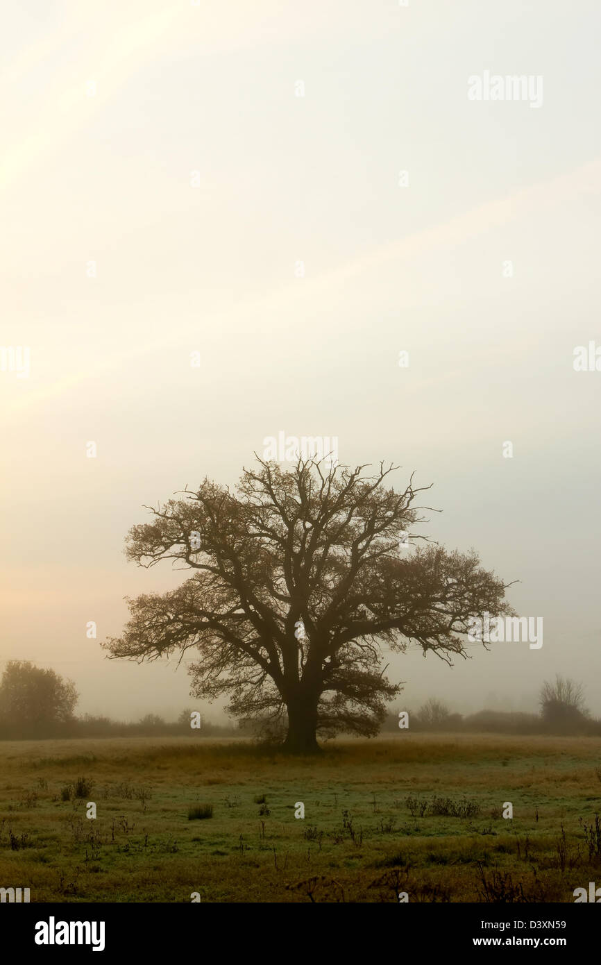 Misty country house hi-res stock photography and images - Alamy