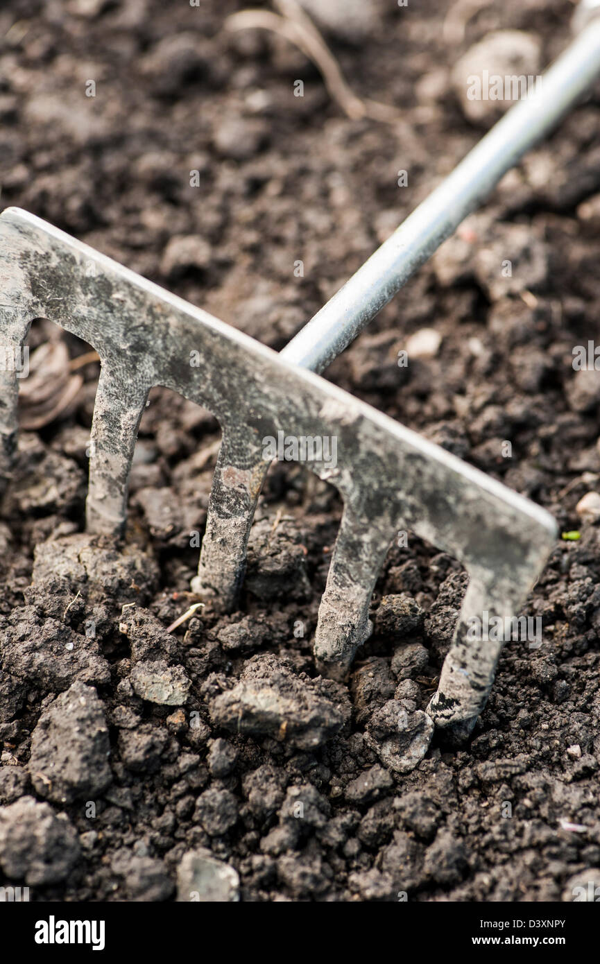 Gardening equipment, small rake lying on the soil Stock Photo