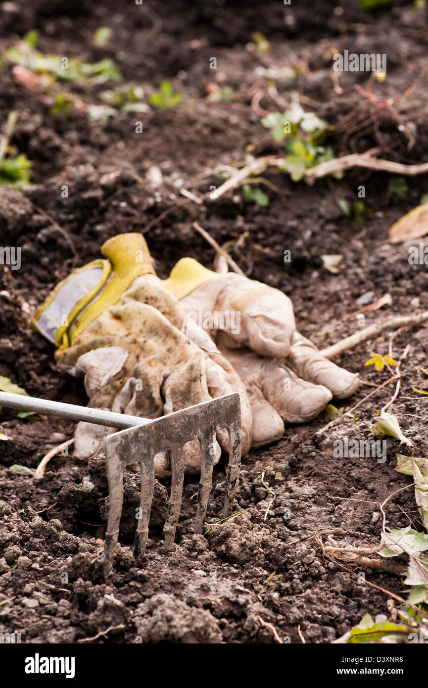 Gardening equipment, small rake and working gloves lying on the soil Stock Photo