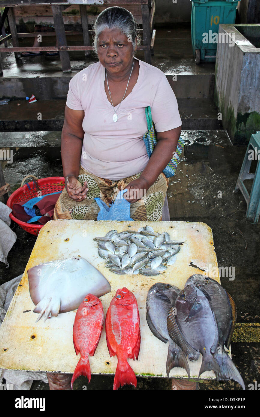 Woman Selling A Variety Of Fish At Negombo Fish Market Stock Photo