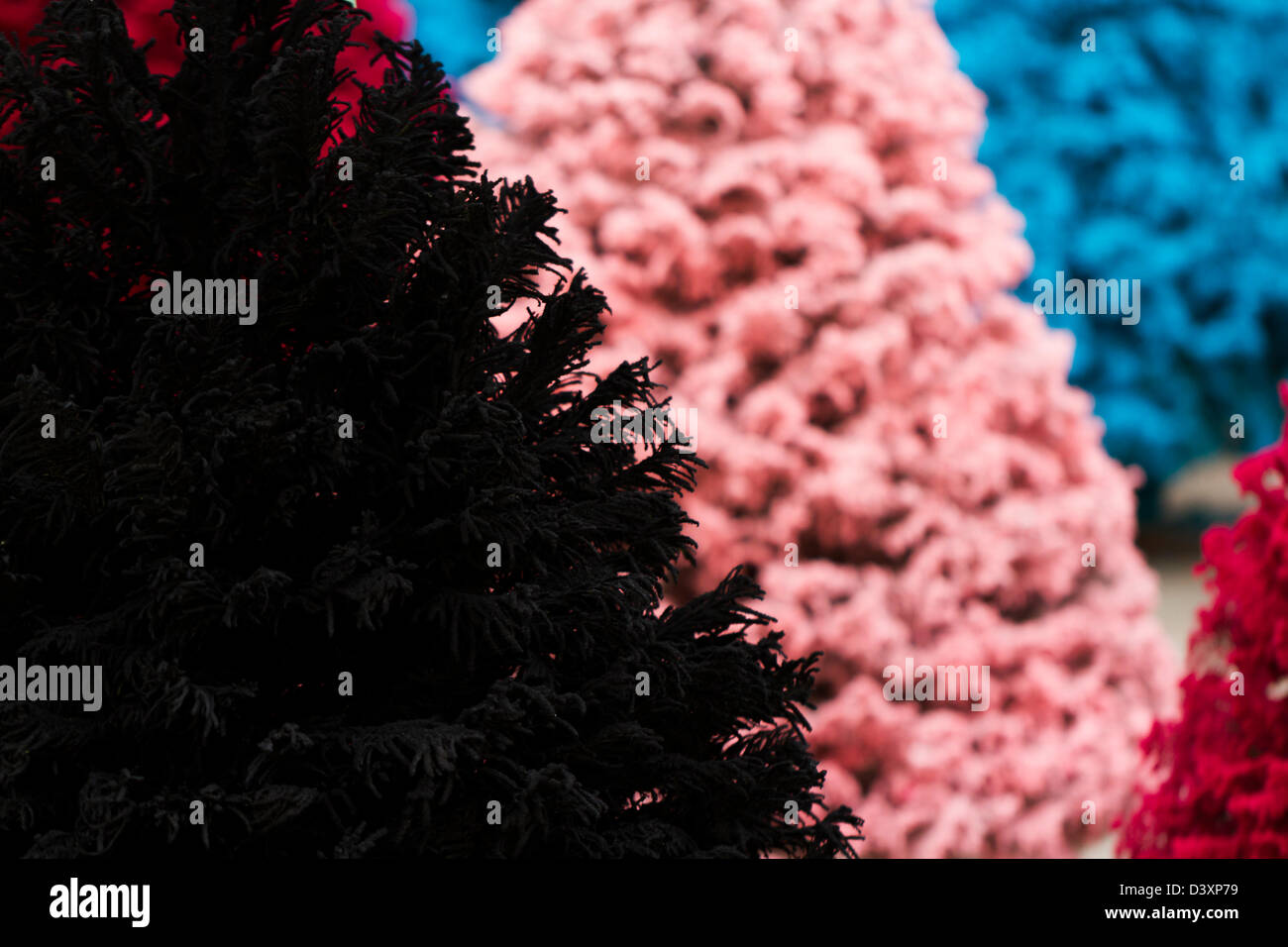 Flocked Christmas Tree with multi colors Stock Photo Alamy