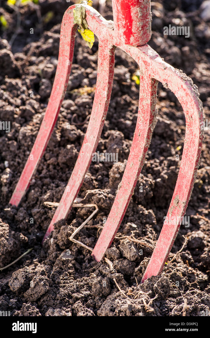 Detail of red garden fork digging in the dirt at spring Stock Photo