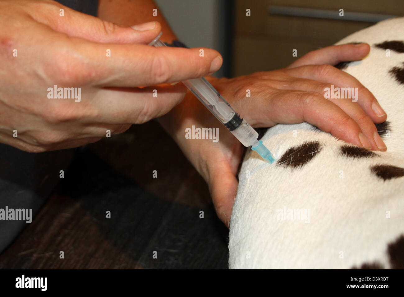 Inject injection injects injects hi-res stock photography and images ...