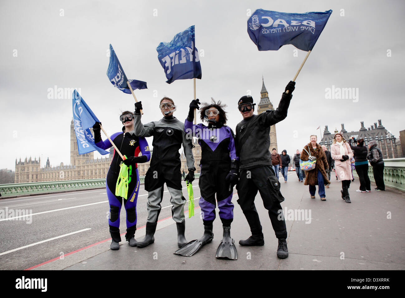 BSAC divers during the Marine Conservation Society march to highlight the need for Marine Conservation Zones. Westminster. London. United Kingdom. Stock Photo