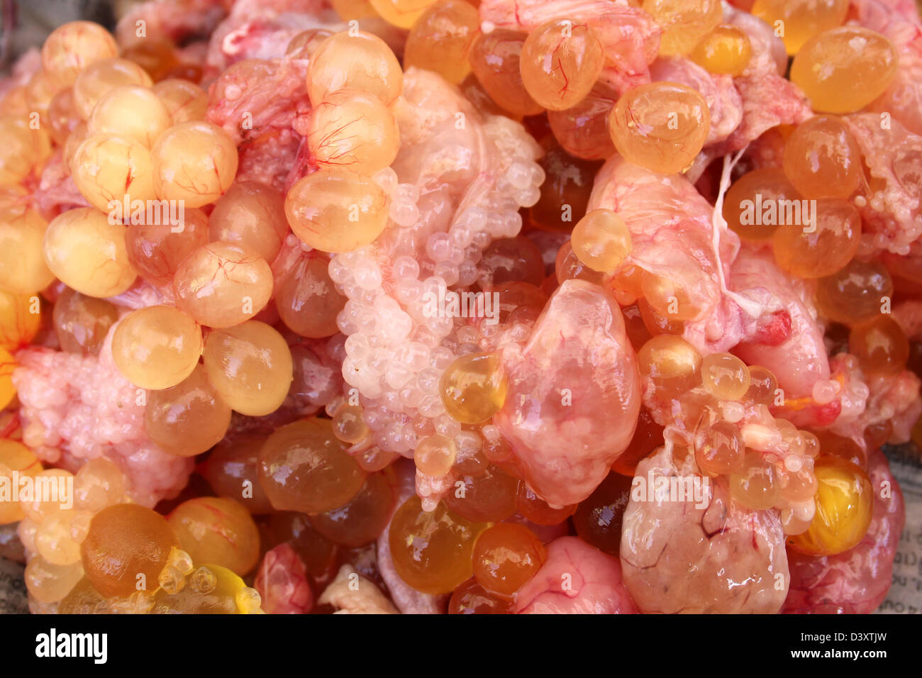 Fish Roe For Sale At Negombo Fish Market, Sri Lanka Stock Photo