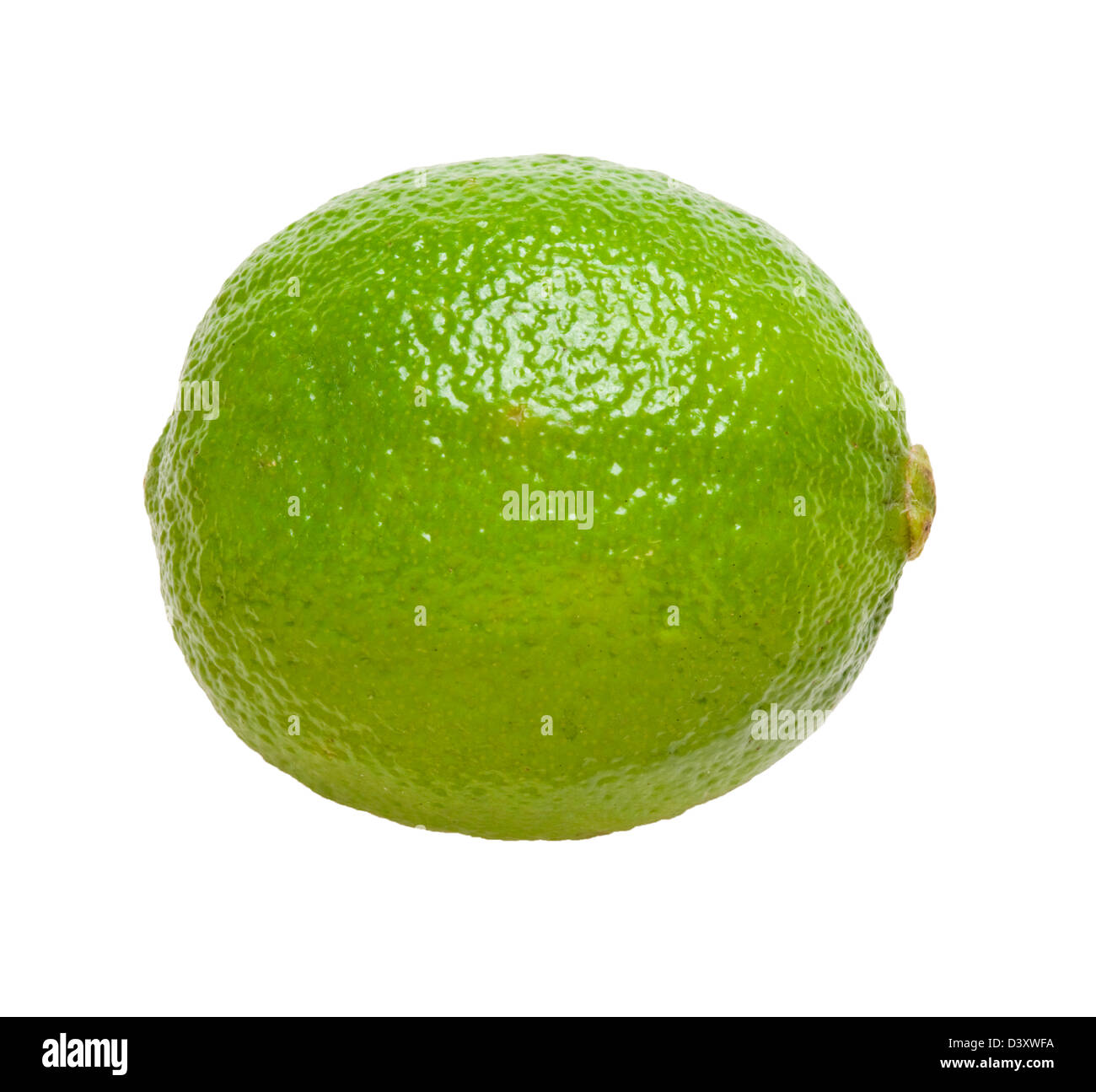 Lime. Stock Photo