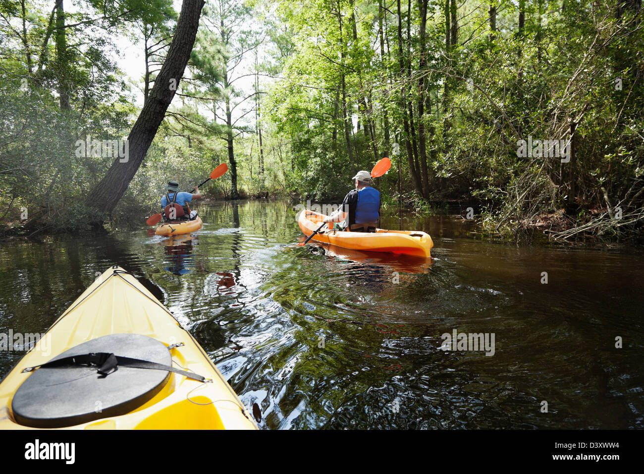 Jungle man hi-res stock photography and images - Alamy