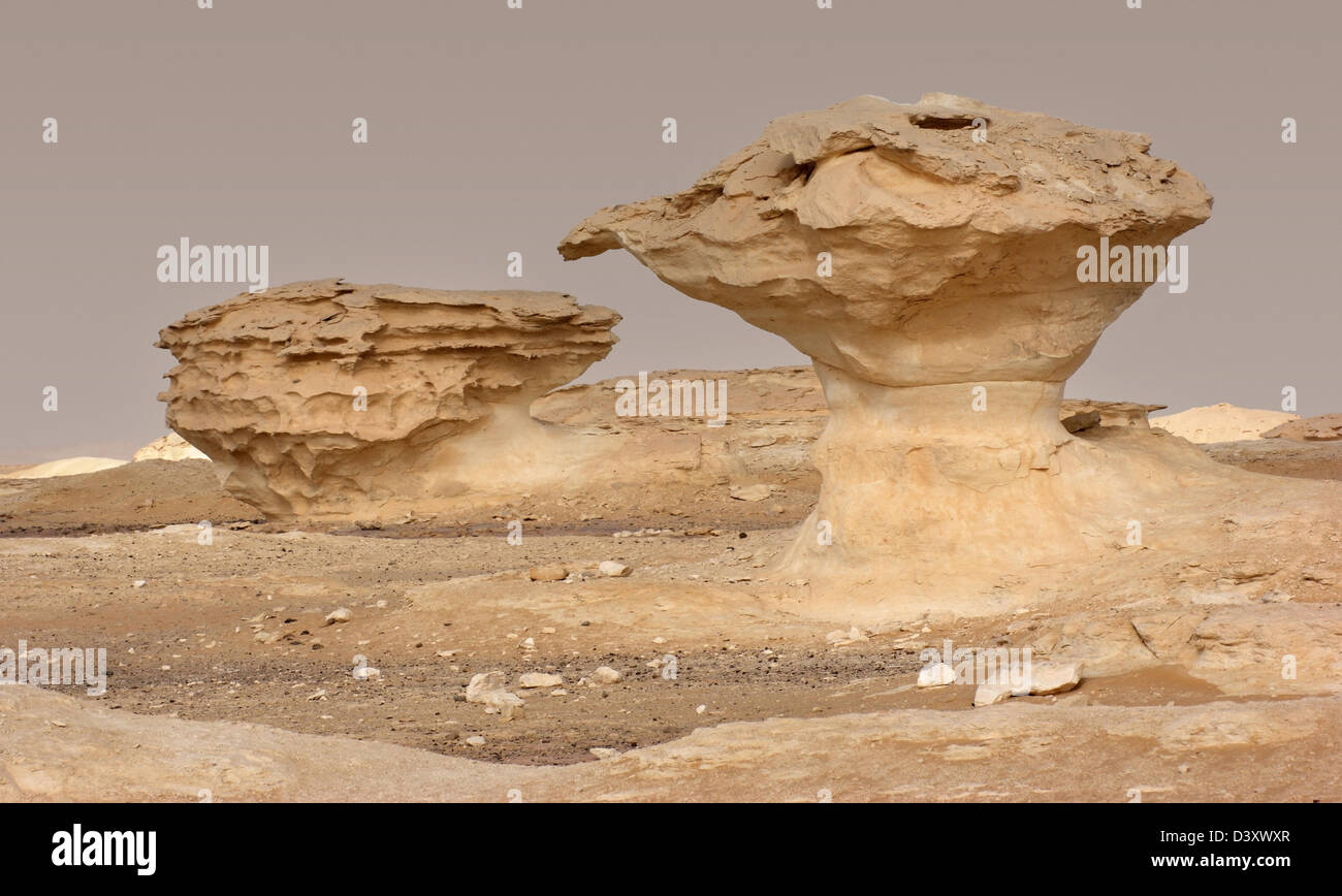 the white desert with rock formation in Egypt Stock Photo - Alamy