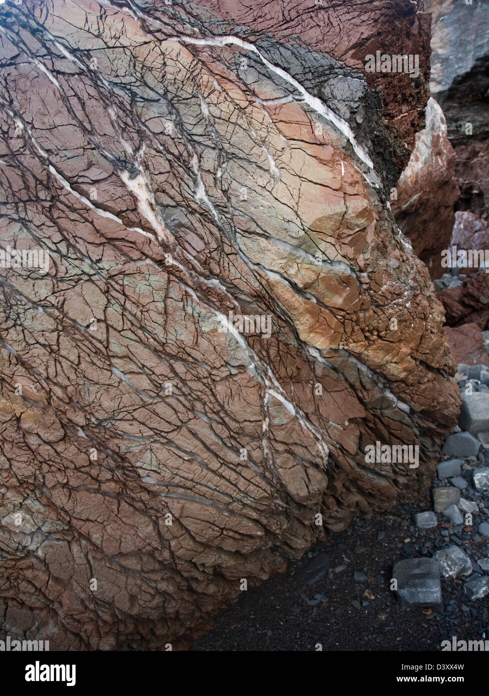 Veins of gypsum in Lower Lias rocks Watchet, Somerset, England Stock Photo