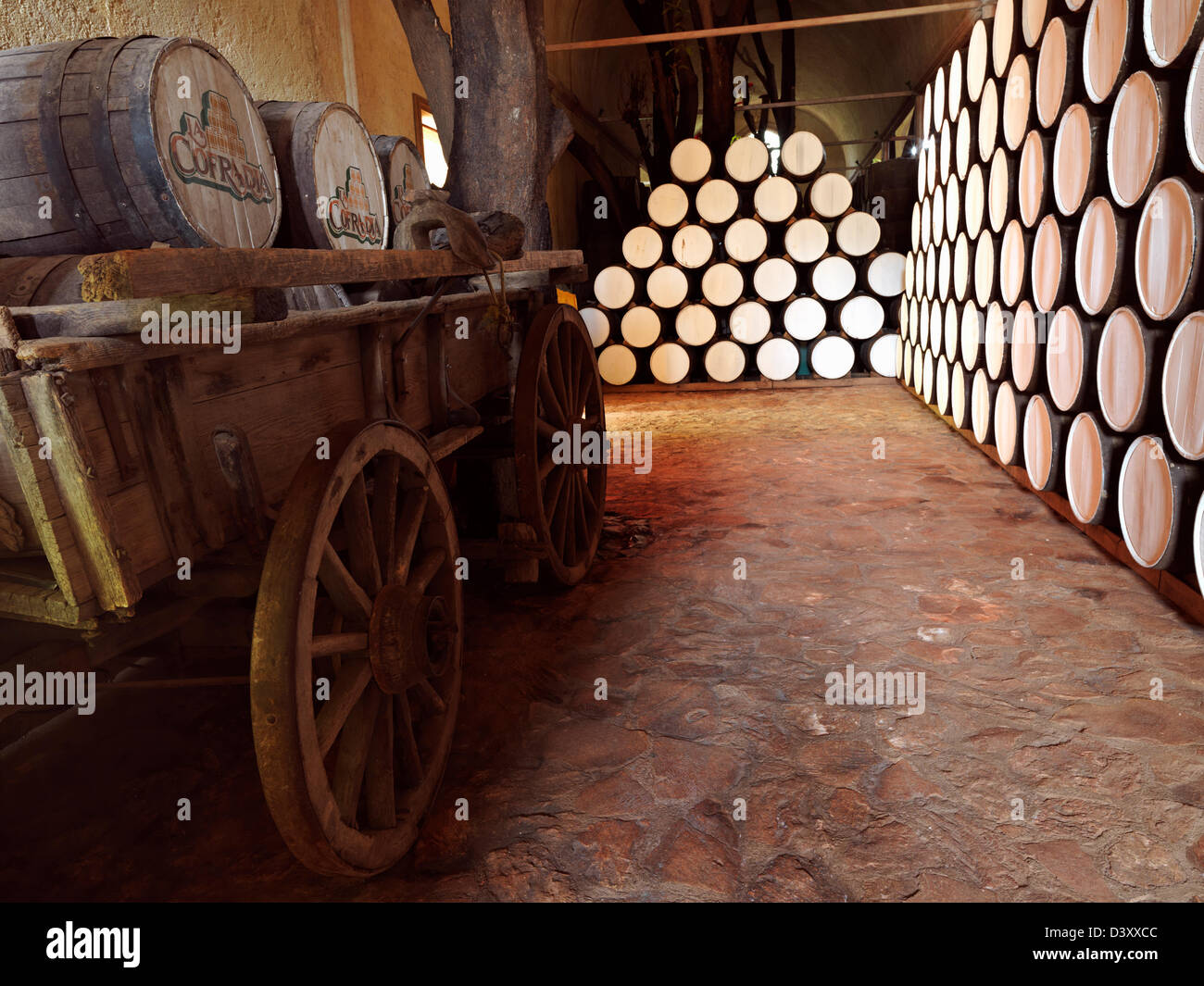 Mexico Jalisco Tequila, barrels of tequila on display at the Cofradia