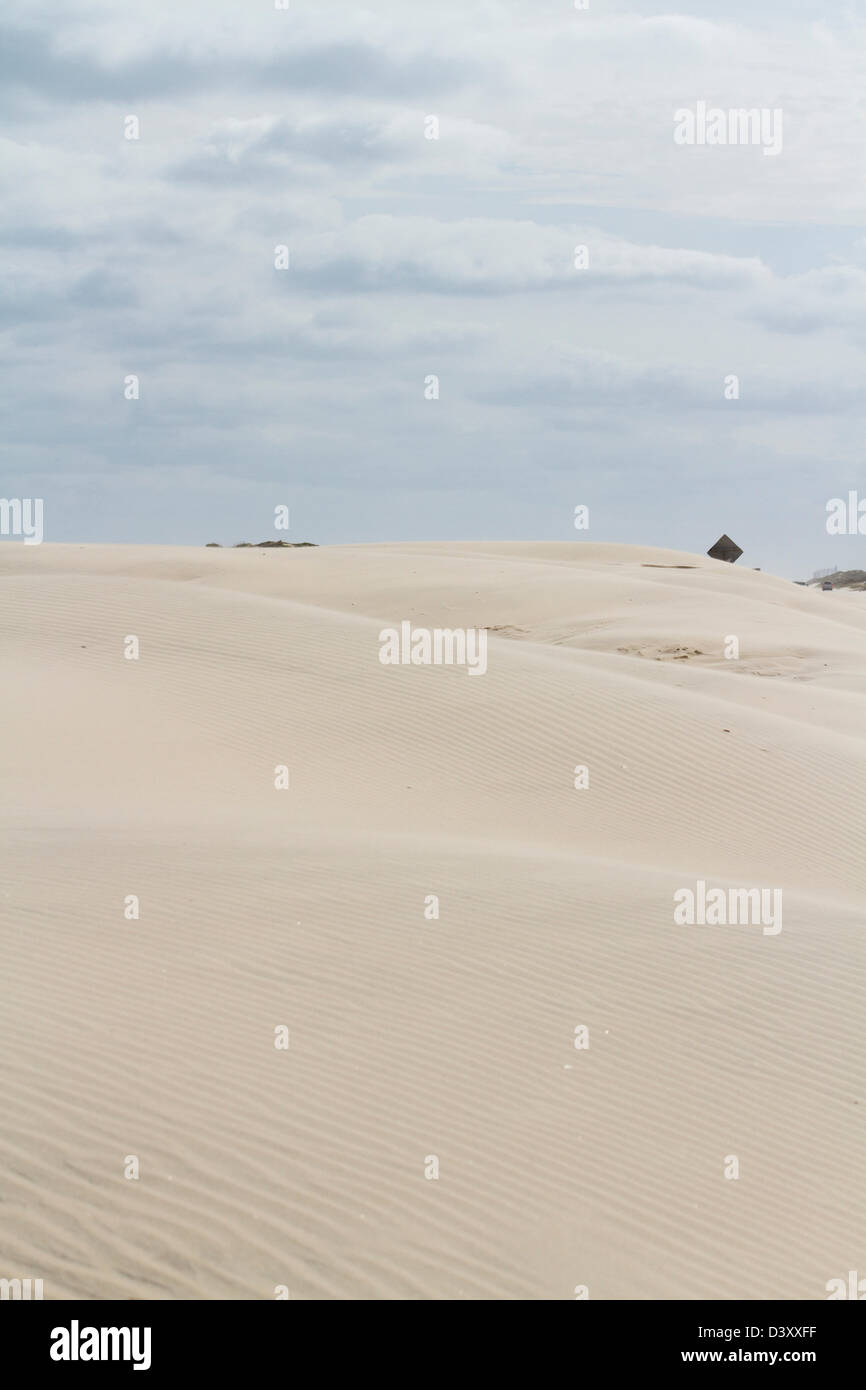 Coastal dunes of South Padre Island, TX Stock Photo Alamy