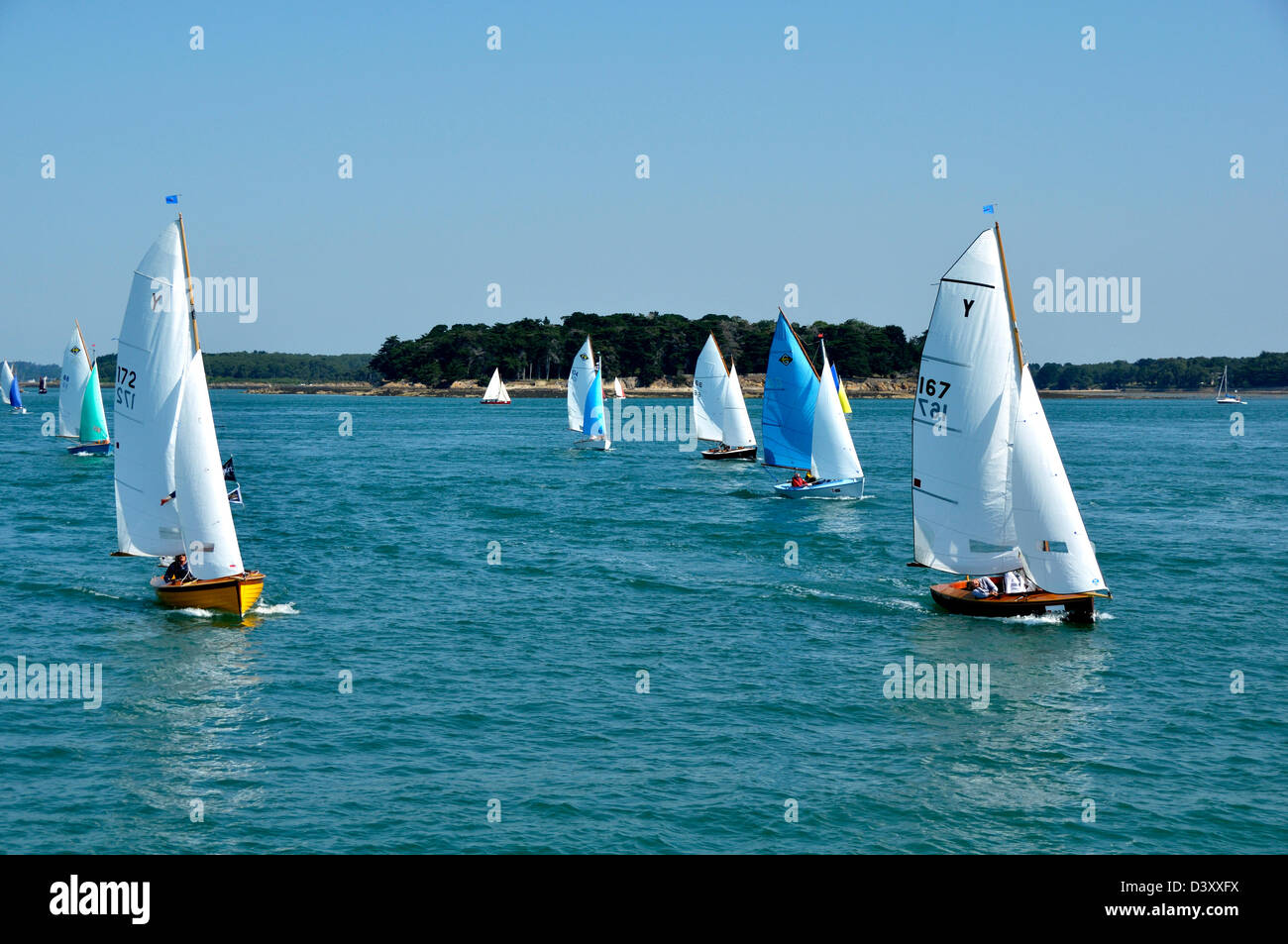 Flotilla of Dinghies, sailing regatta in Morbihan gulf, during the