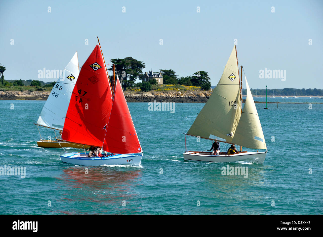 Flotilla of Dinghies, sailing regatta in Morbihan gulf, during the
