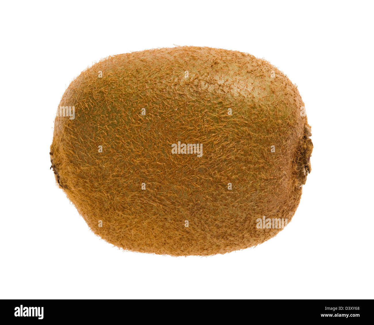 Kiwi fruit. Stock Photo
