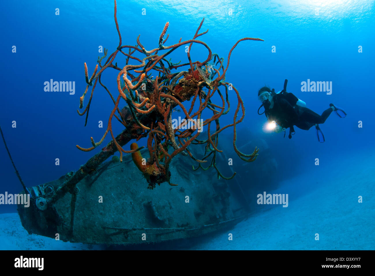 Wreckdiving the Russian Destroyer M.V. Captain Keith Tibbets. Stock Photo